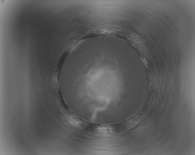 X0000070220415200606091655
