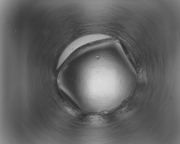 X0000070220424200606091655