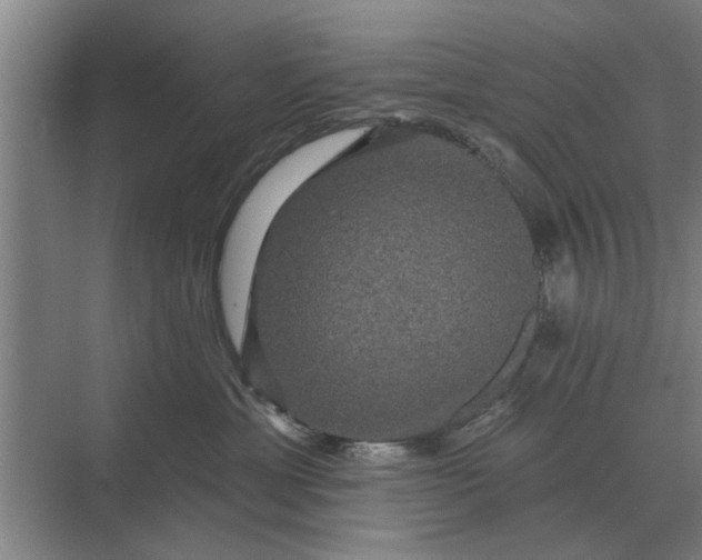 X0000070220429200606091655