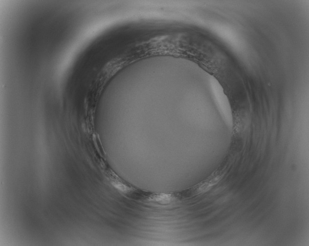 X0000070220431200606091655