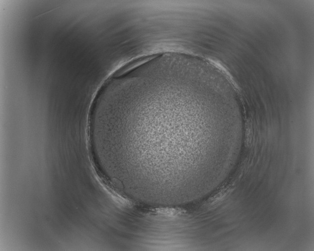 X0000070220439200606091654