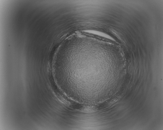 X0000070220459200606091655