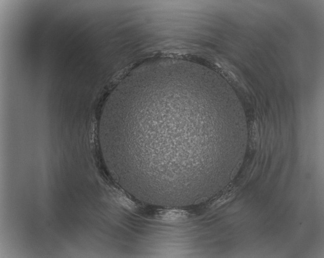 X0000070220463200606091655