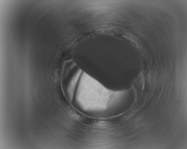 X0000070220467200606091655