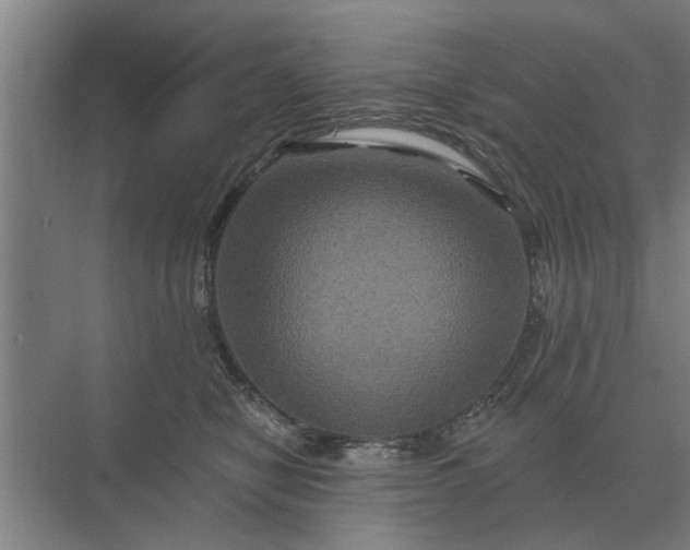 X0000070220470200606091655