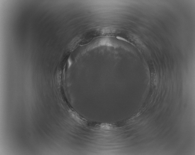 X0000070220475200606091655