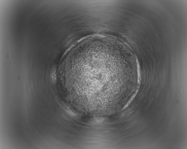 X0000070220479200606091655