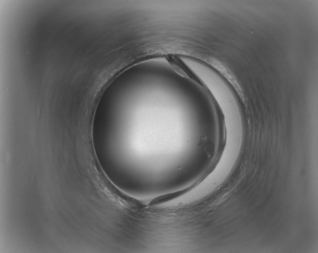 X0000070220481200606091654