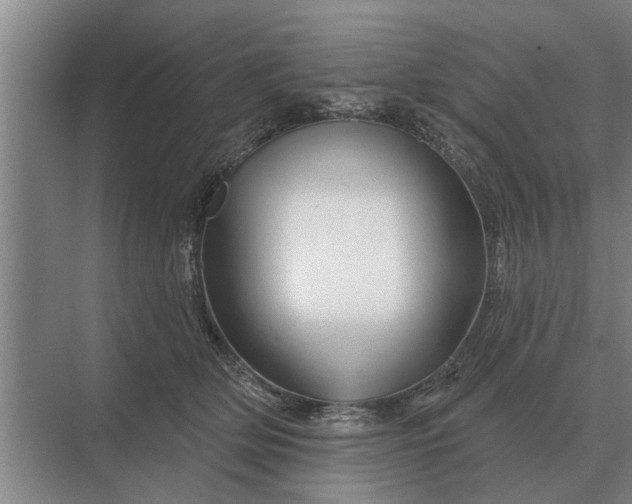 X0000070220514200606091654