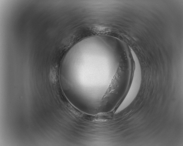 X0000070220515200606091654