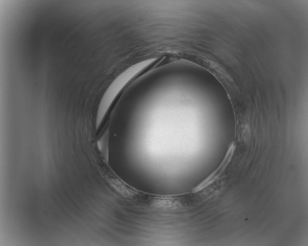 X0000070220521200606091654