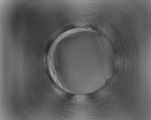 X0000070220526200606091653