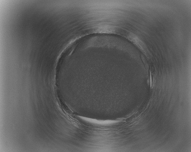 X0000070220531200606091653