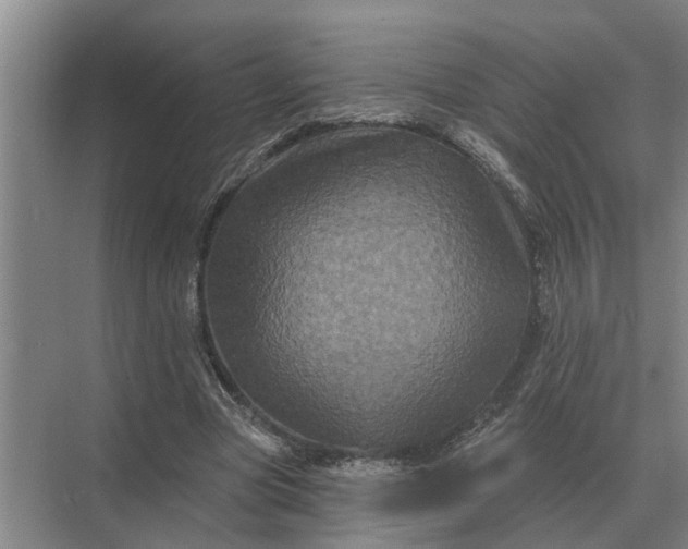 X0000070220537200606091653