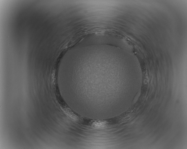 X0000070220560200606091653