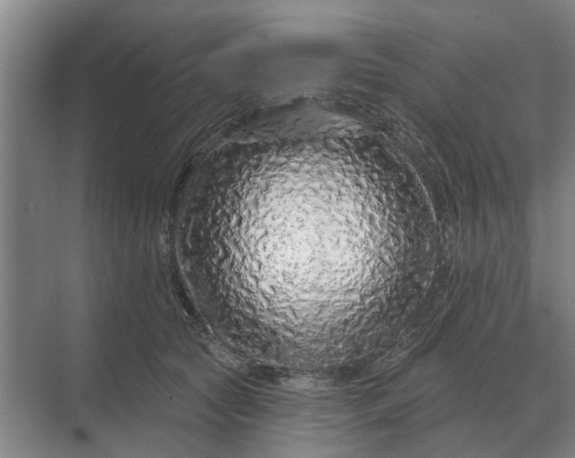 X0000070220561200606091653