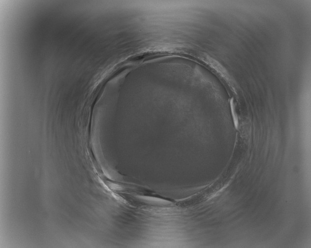 X0000070220577200606091653