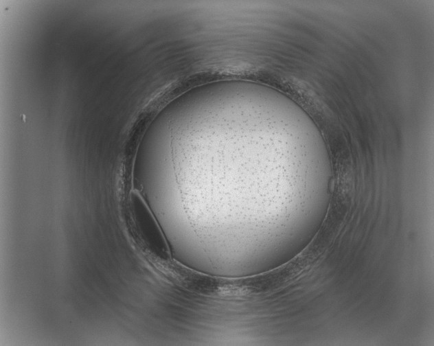 X0000070220591200606091652