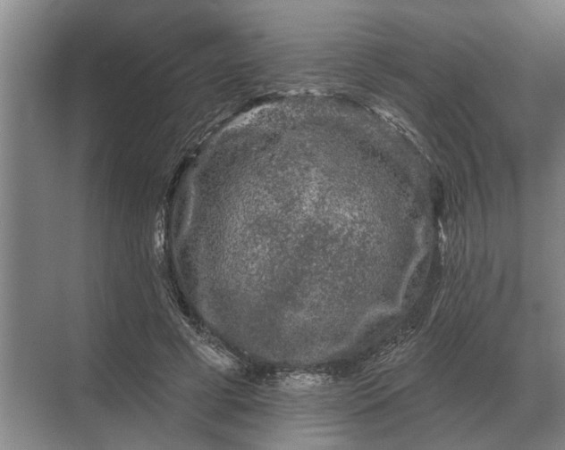 X0000070220593200606091652