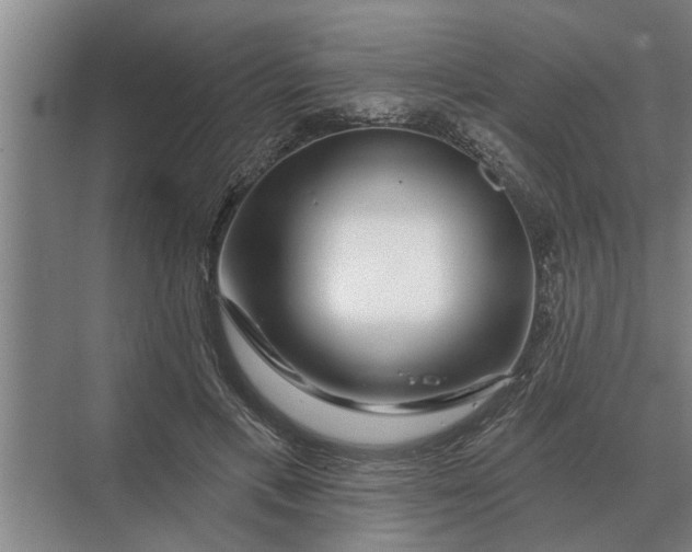 X0000070220597200606091652