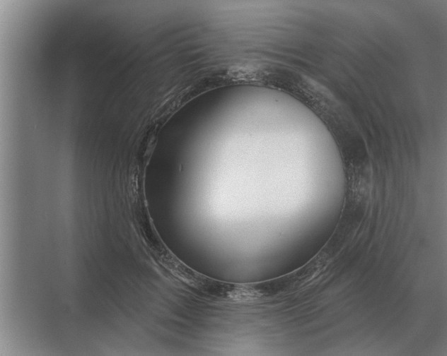 X0000070220603200606091652