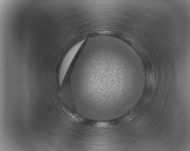 X0000070220609200606091652
