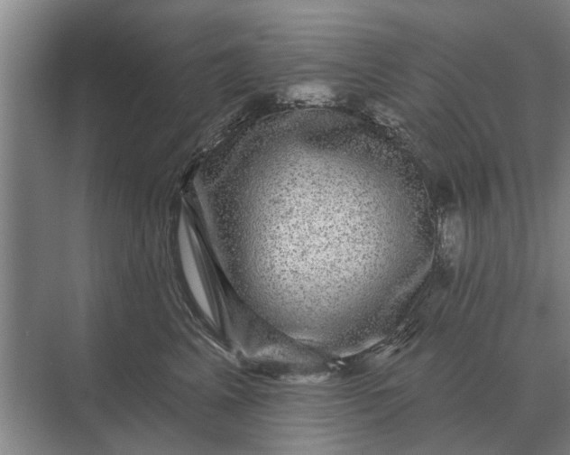 X0000070220617200606091652