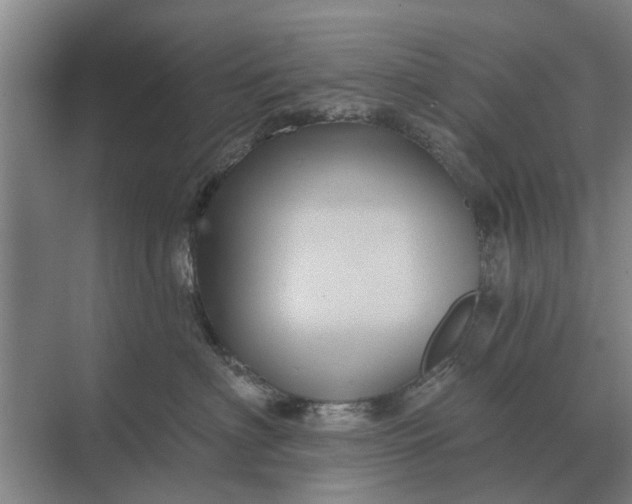 X0000070220622200606091652
