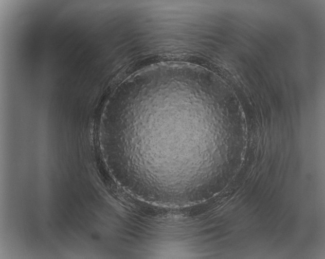 X0000070220647200606091651