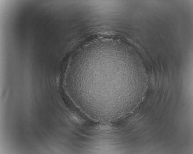 X0000070220668200606091652