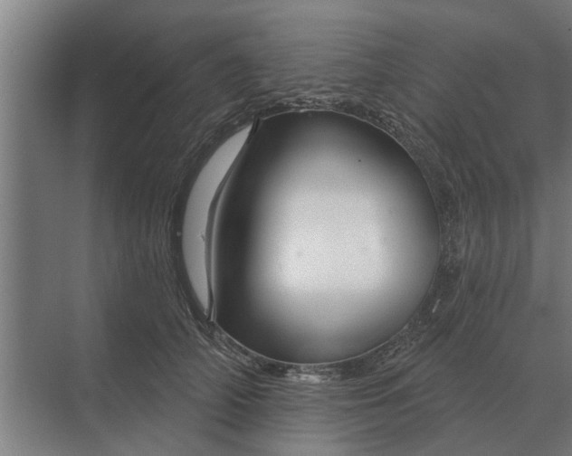X0000070220706200606091650