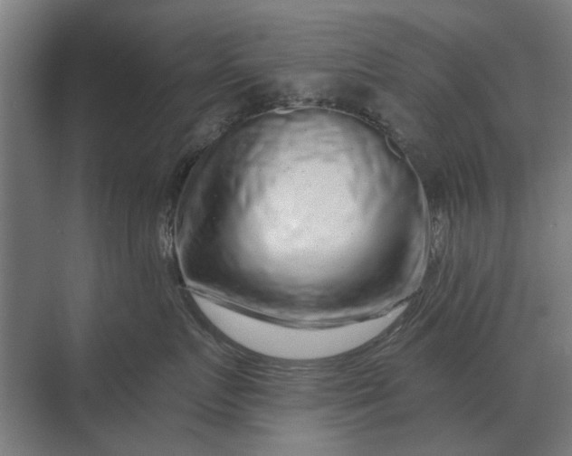 X0000070220719200606091650
