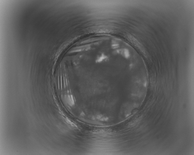 X0000070220721200606091649