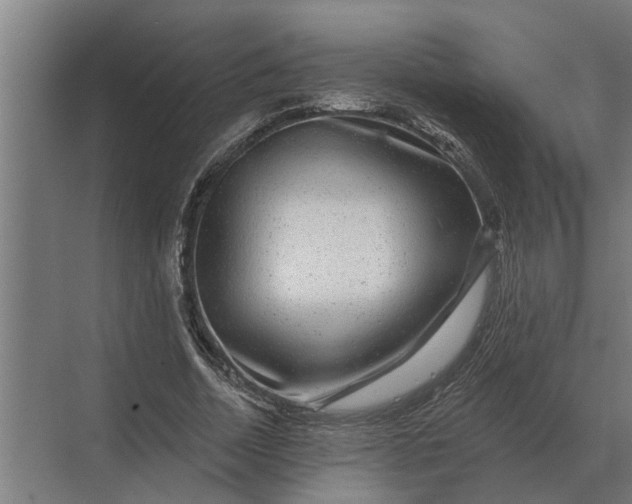 X0000070220730200606091650