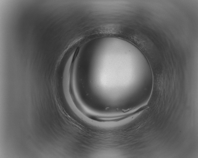 X0000070220731200606091650