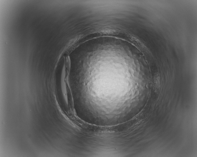 X0000070220734200606091650