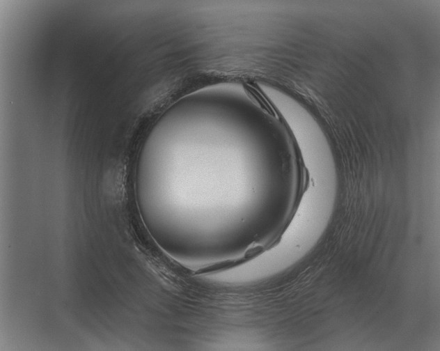 X0000070220735200606091650
