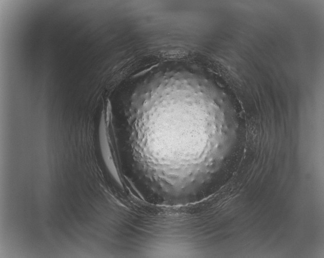 X0000070220745200606091650