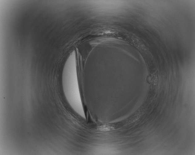 X0000070220754200606091650