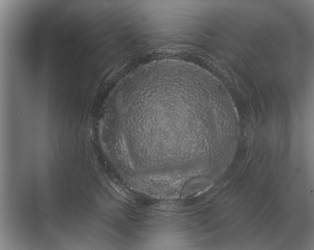 X0000070220758200606091650