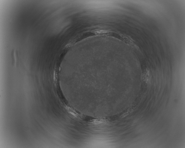 X0000070220763200606091650