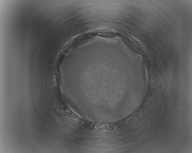 X0000070220776200606091649