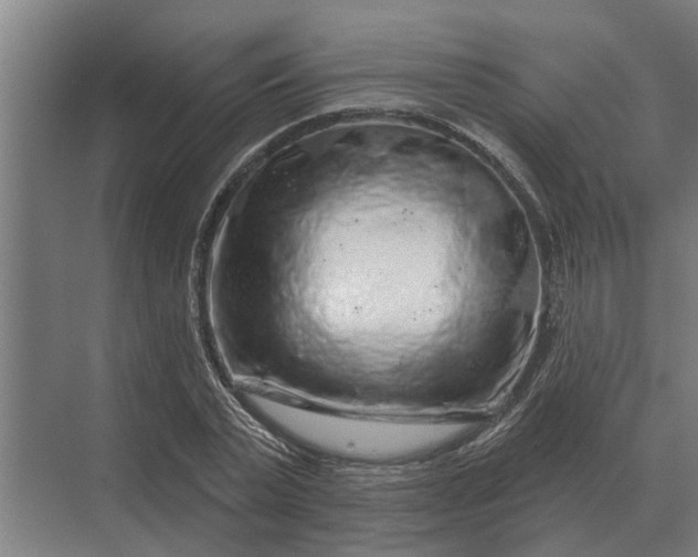X0000070220783200606091649