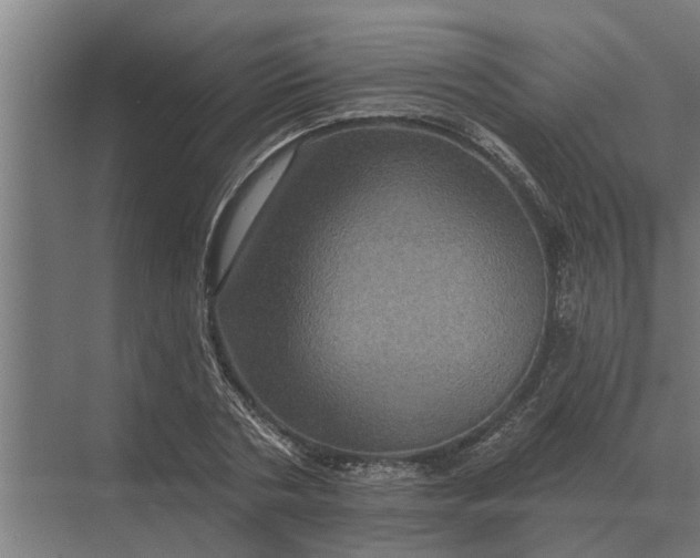 X0000070220786200606091649