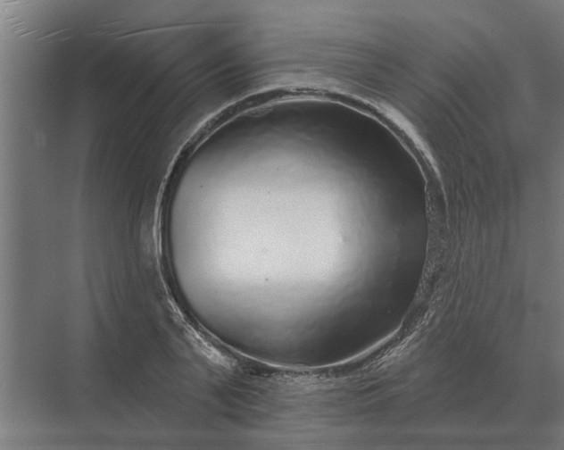 X0000070220791200606091649