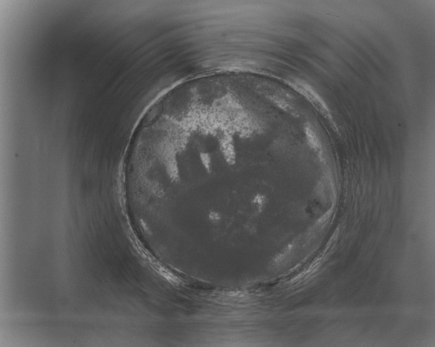 X0000070220798200606091649
