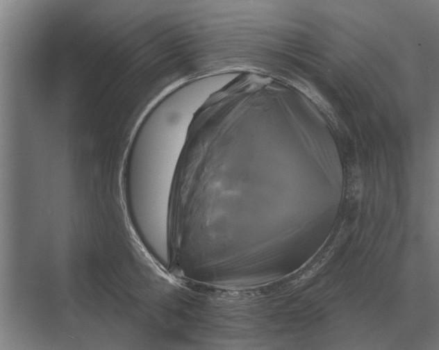 X0000070220806200606091649