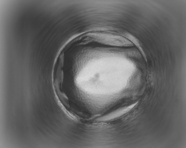 X0000070220811200606091649
