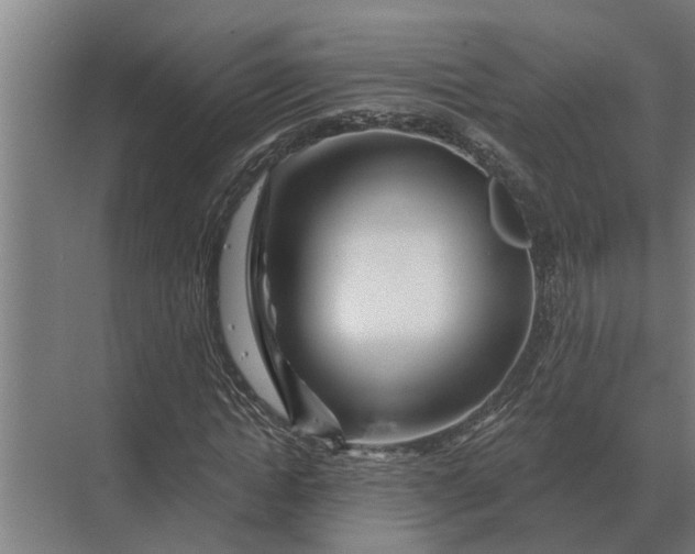 X0000070220822200606091648