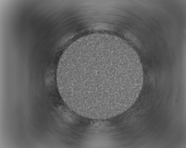 X0000070220824200606091648